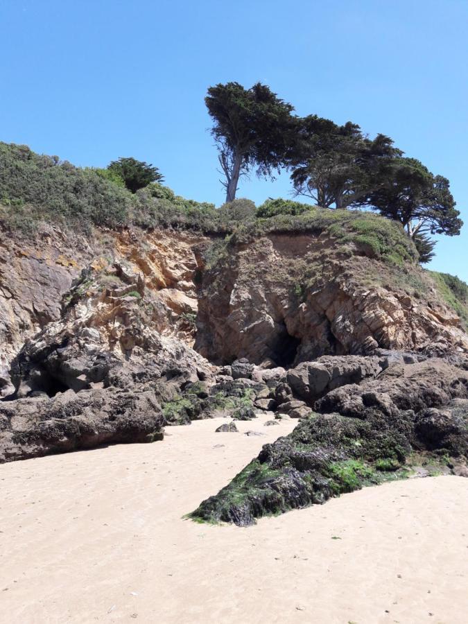 Le Studio Du Ris Douarnenez Kültér fotó